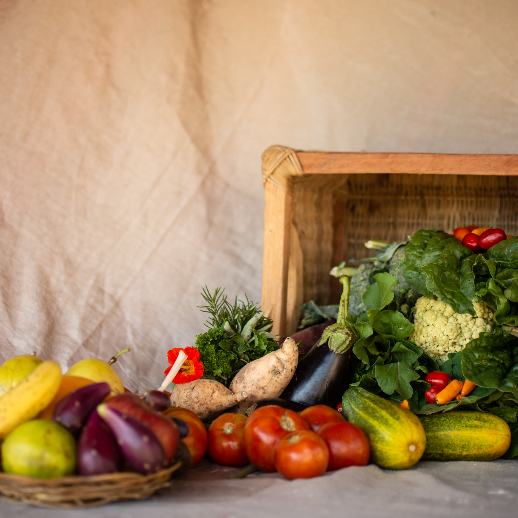 Seasonal Veggie Basket, Basic with Fruit Mix Ecolodgy Permaculture Centre